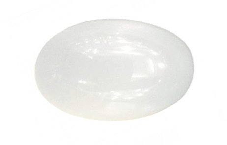 Natural White Coral