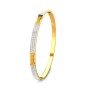Cakori Erin Gold Bangles