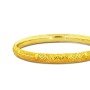 Radiant Livia Charm Gold Bangles