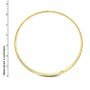 Triaksha Opulent Gold Bangles