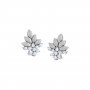 Arduous Daimond Earrings