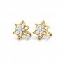 Nectaryx Daimond Earrings
