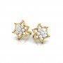 Nectaryx Daimond Earrings