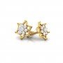 Nectaryx Daimond Earrings