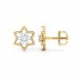 Nectaryx Daimond Earrings