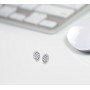 Herald Daimond Earrings