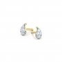 Nostalgia Daimond Earrings