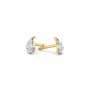 Nostalgia Daimond Earrings