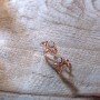 Regenerate Diamond Earrings