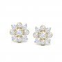 Echoing Daimond Earrings