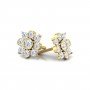 Echoing Daimond Earrings