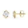 Encompass Daimond Earrings