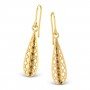 Ariel Nolana Gold Earrings