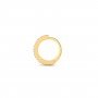 Dawn Diamond Nose Ring