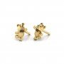 Teddy Kids Gold Earrings