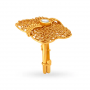 Hypnotic Gold Cocktail Ring