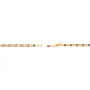 Meera Duo Chain Gold Bracelet