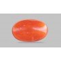 Natural Red Coral 4.57 Carat