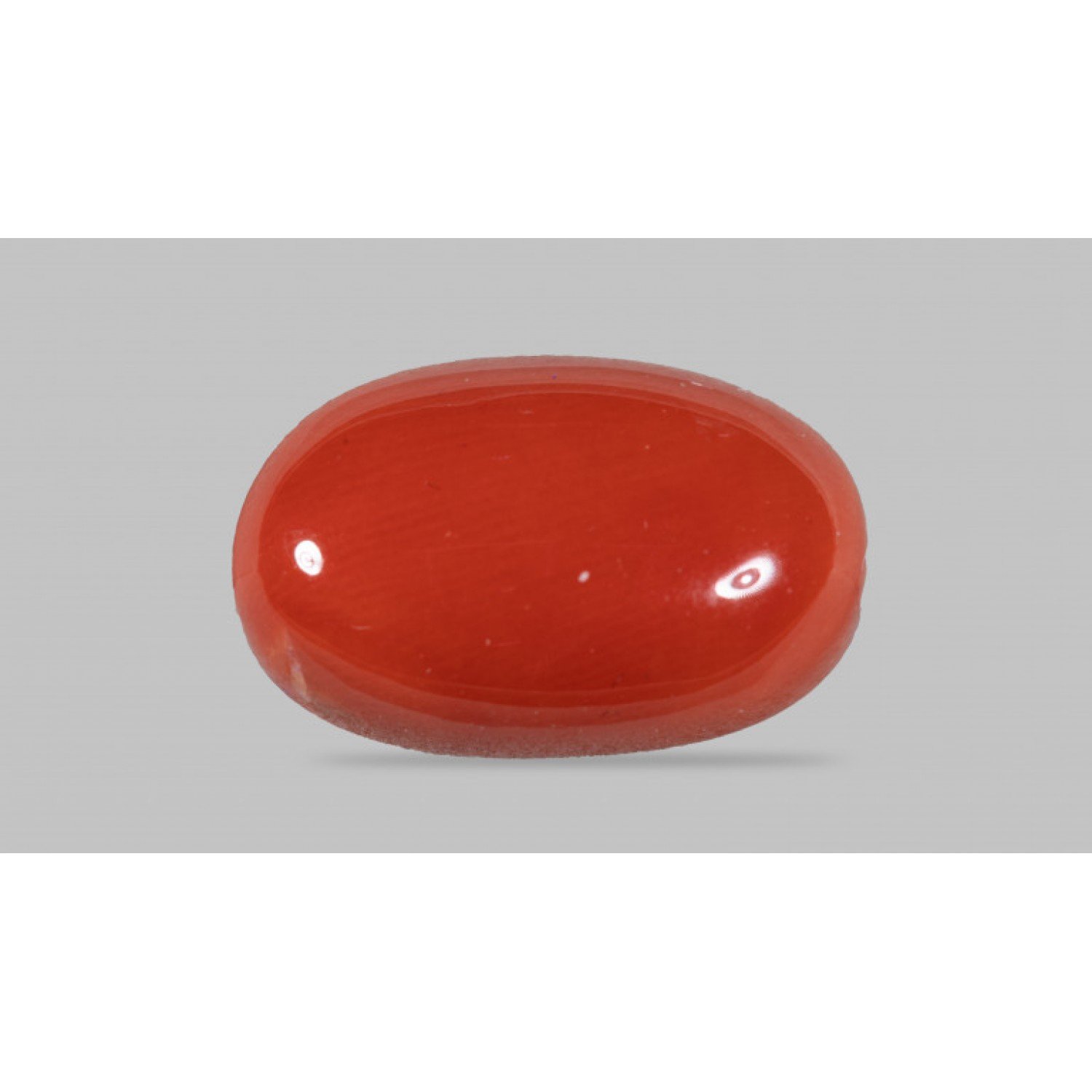 Natural Red Coral 7.34 Carat