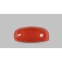 Natural Red Coral 7.34 Carat