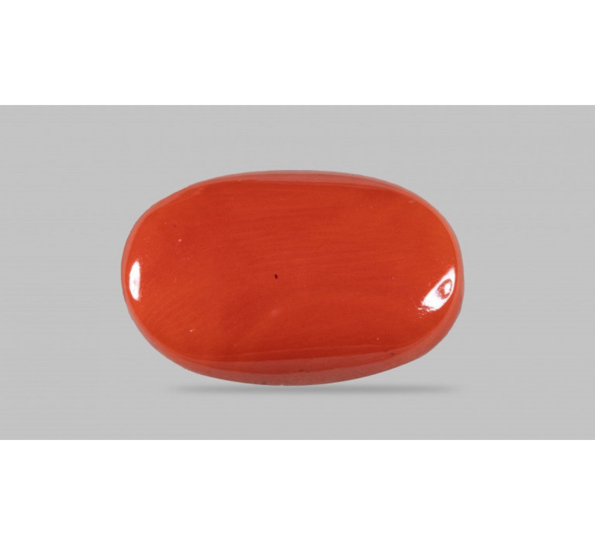 Natural Red Coral 7.34 Carat