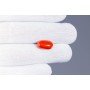 Natural Red Coral 7.34 Carat