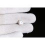 Natural Pearl 5.25 Carat