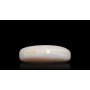 Natural Opal 18.91 Carat