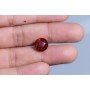 Natural Hessonite Gomed 7.66 Carat