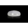 Rainbow Moonstone 14X10 MM 6.53 Carats