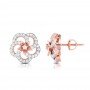 Rays In Eye Diamond Earrings