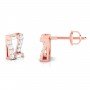 Etain Winsome Diamond Earrings