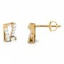 Etain Winsome Diamond Earrings