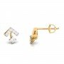 Dove Fancy Diamond Earrings