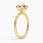 Purity Lab Diamond Ring (2 carat)