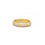 Paisley Crystal Band